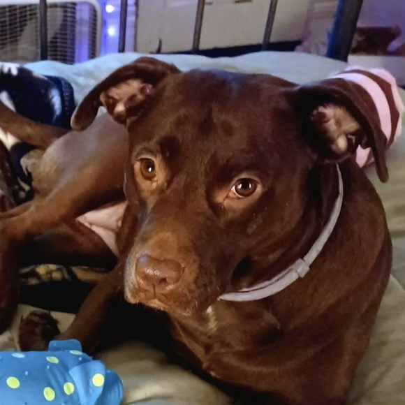 Sweet Baby Gingy, Tina and Ray - Picture 4 of 6